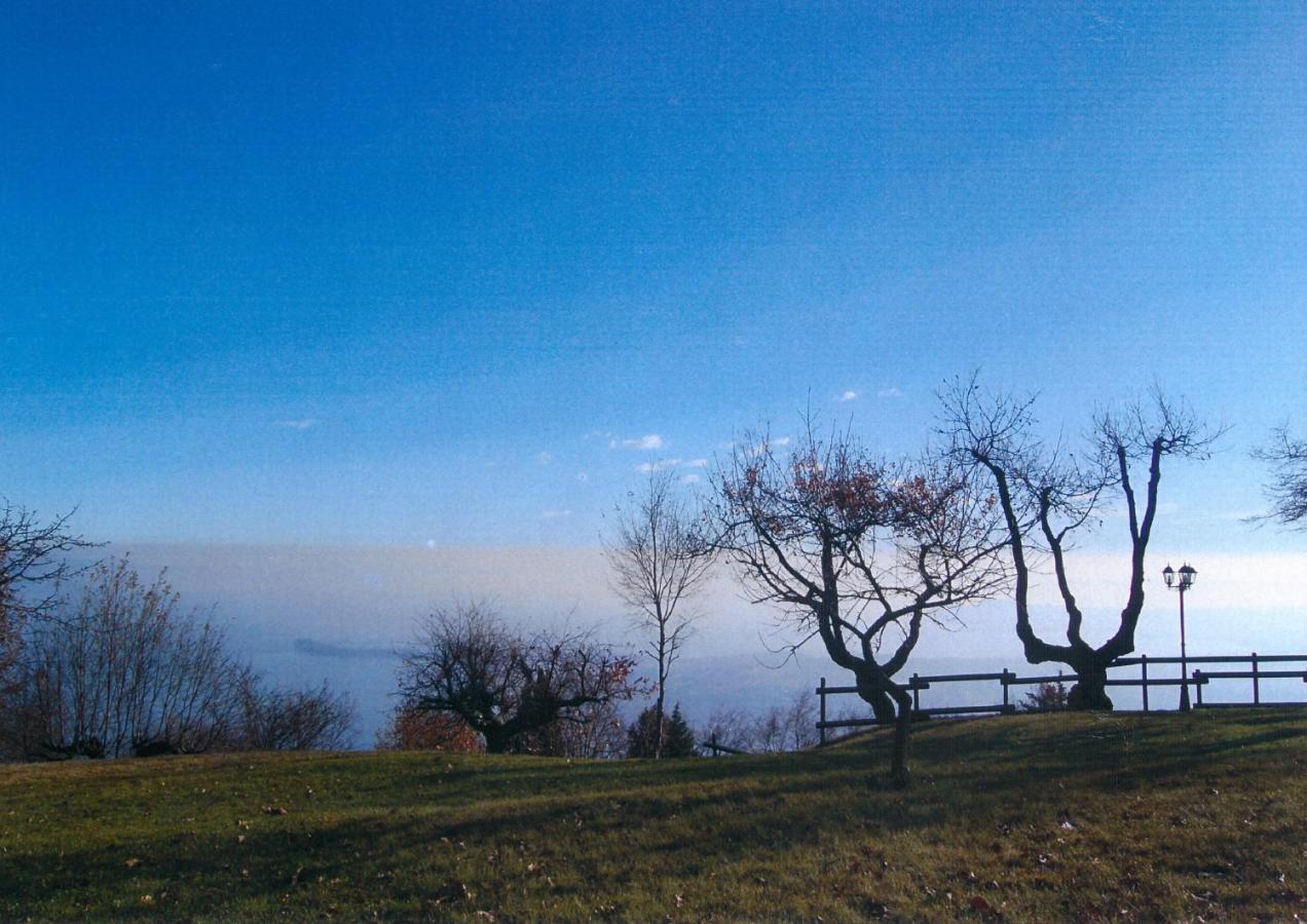 La Fiocchina - Magic Place - Apartments & Studios In Garda Lake - Countryside Farmhouse, Inside The Middle Of The Lake Salò Eksteriør billede